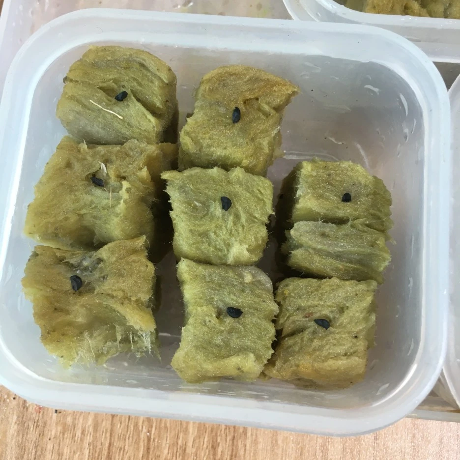 20210403_0529.JPG?type=w1