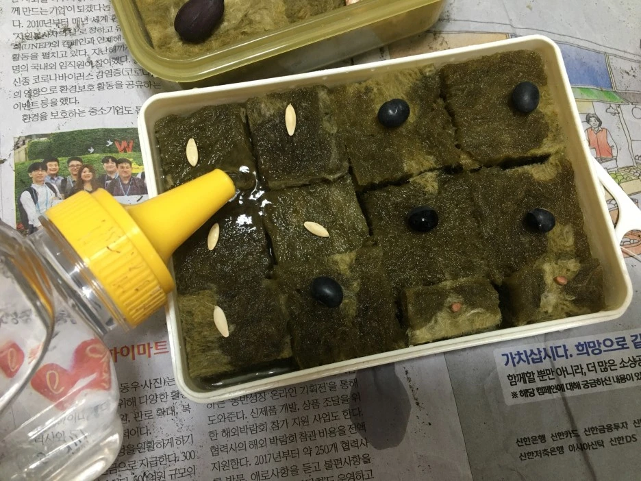 20210408_0604.JPG?type=w1