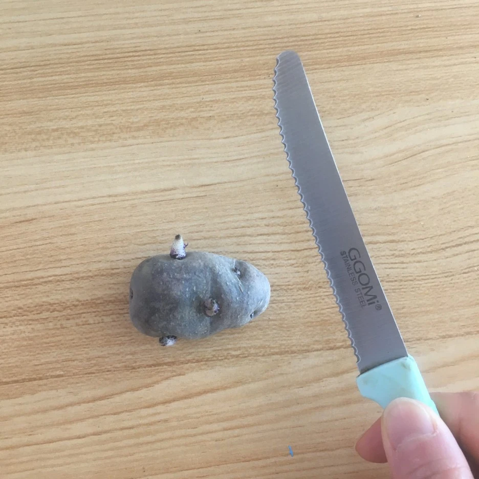 20210331_0414.JPG?type=w1