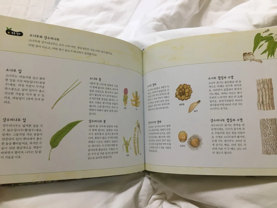 20210516_1581.JPG?type=w1