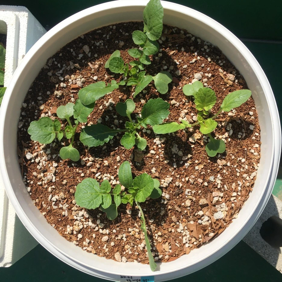 IMG_1010.JPG?type=w1