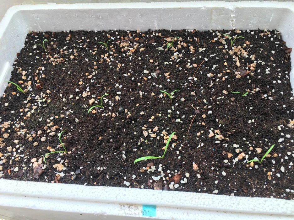 20210517_1603.JPG?type=w1