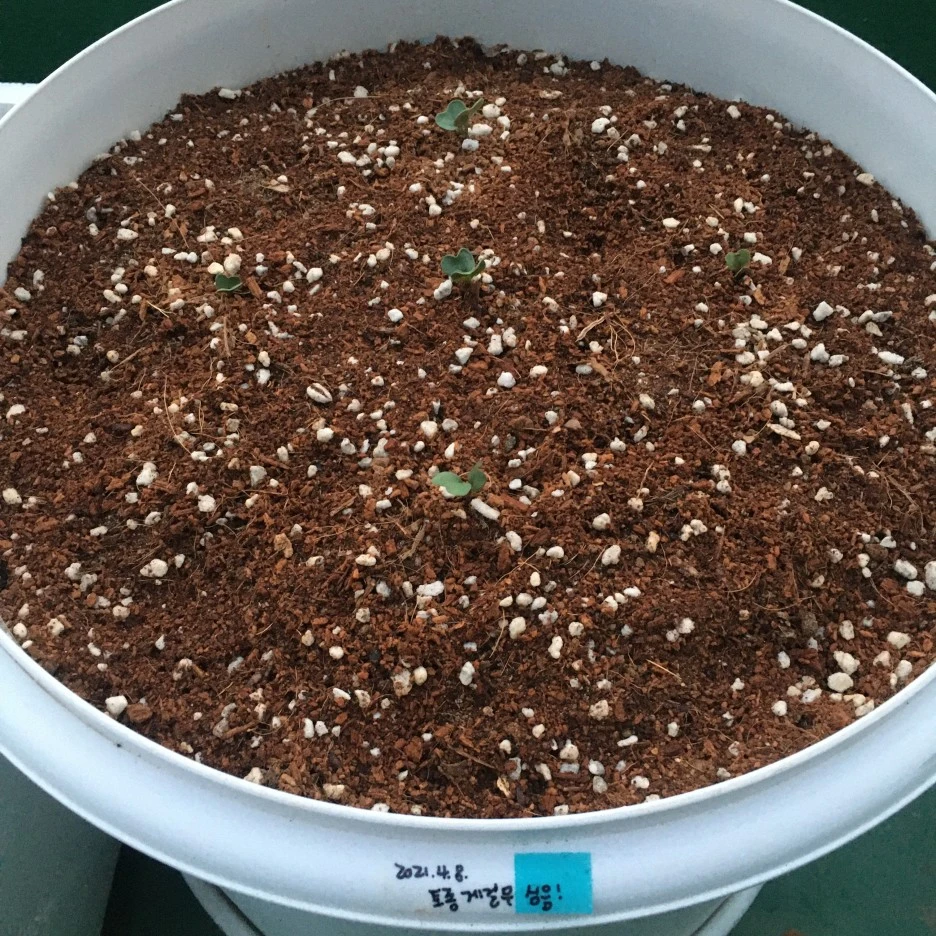 20210420_2876.JPG?type=w1