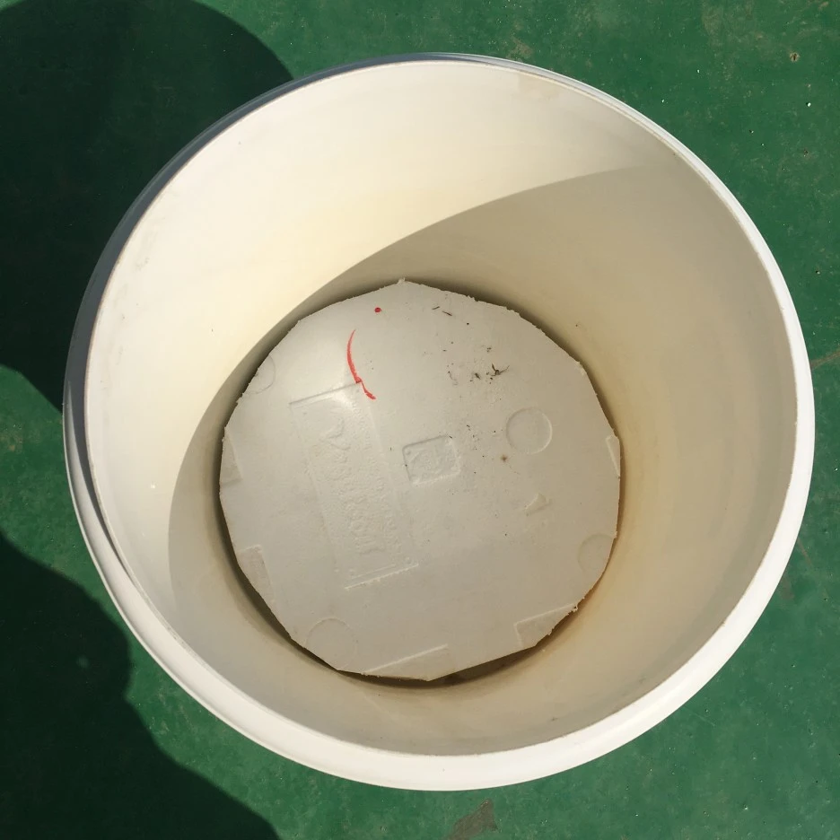 20210415_1098.JPG?type=w1