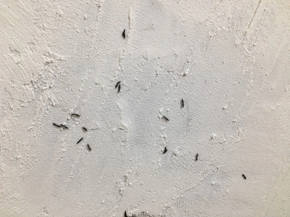 20210506_0100.JPG?type=w1