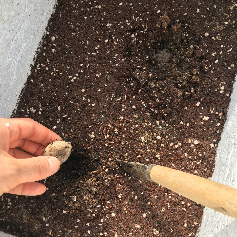 20210401_0461.JPG?type=w1