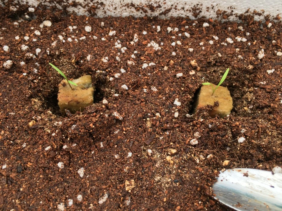 20210402_0500.JPG?type=w1