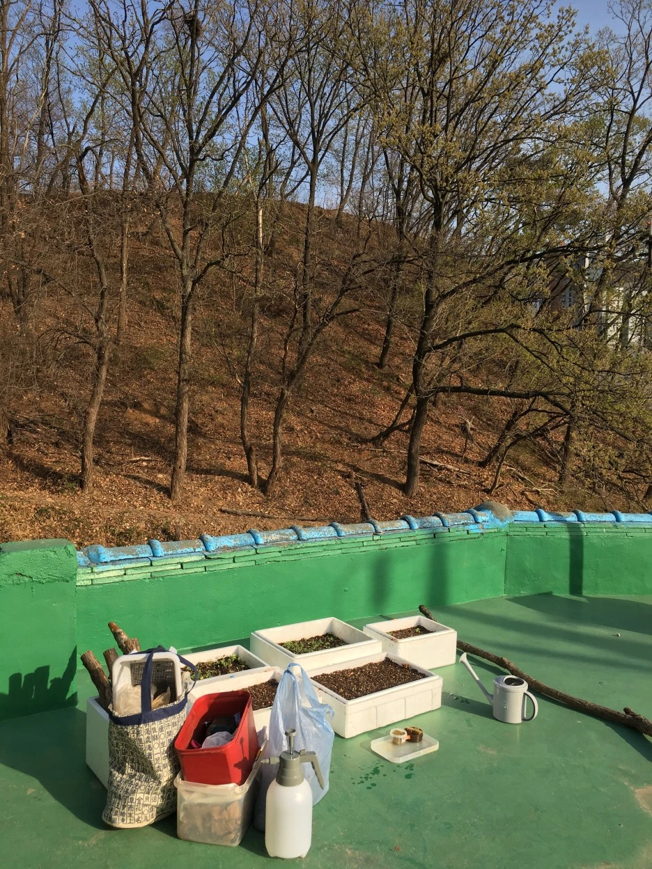 20210331_0441.JPG?type=w1