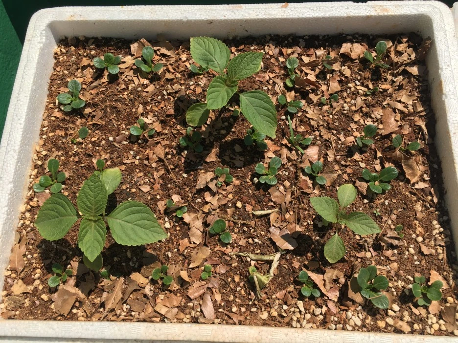 20210425_1037.JPG?type=w1