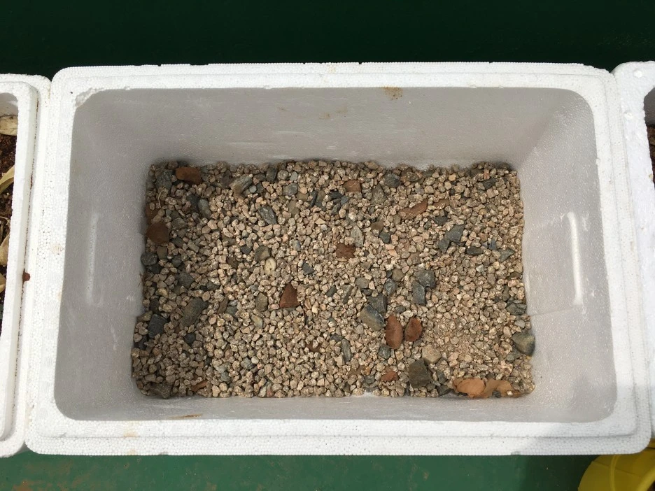 20210428_1137.JPG?type=w1