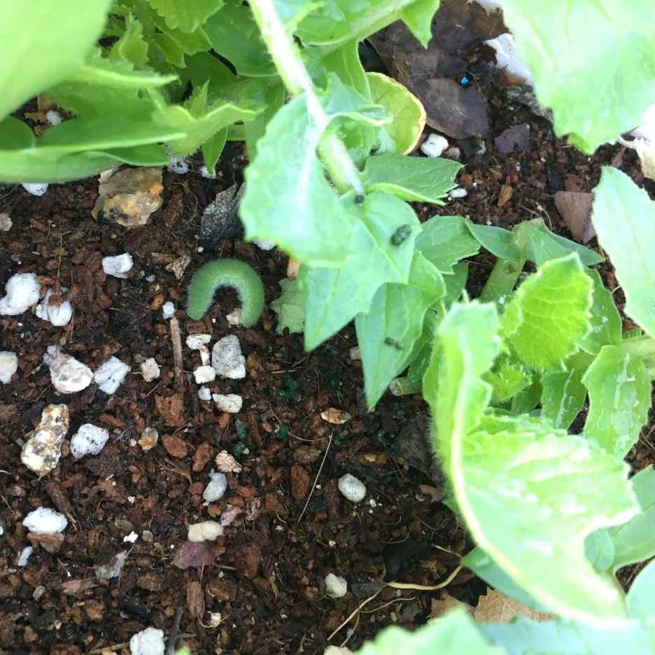 20210513_1455.JPG?type=w1