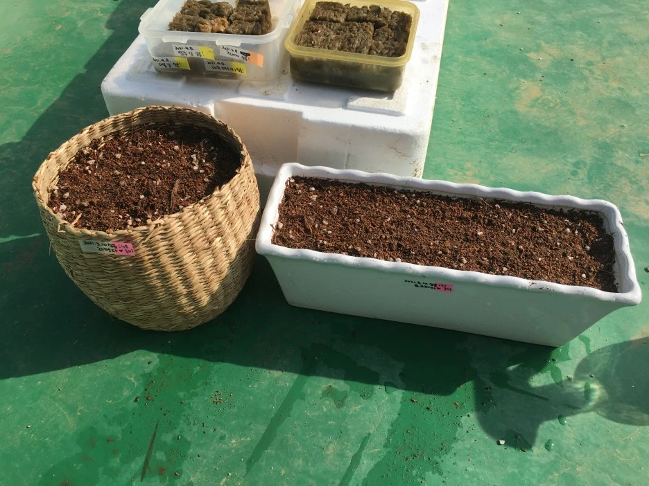 20210415_1101.JPG?type=w1