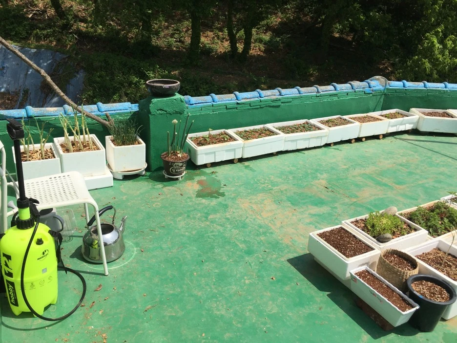 20210429_1204.JPG?type=w1