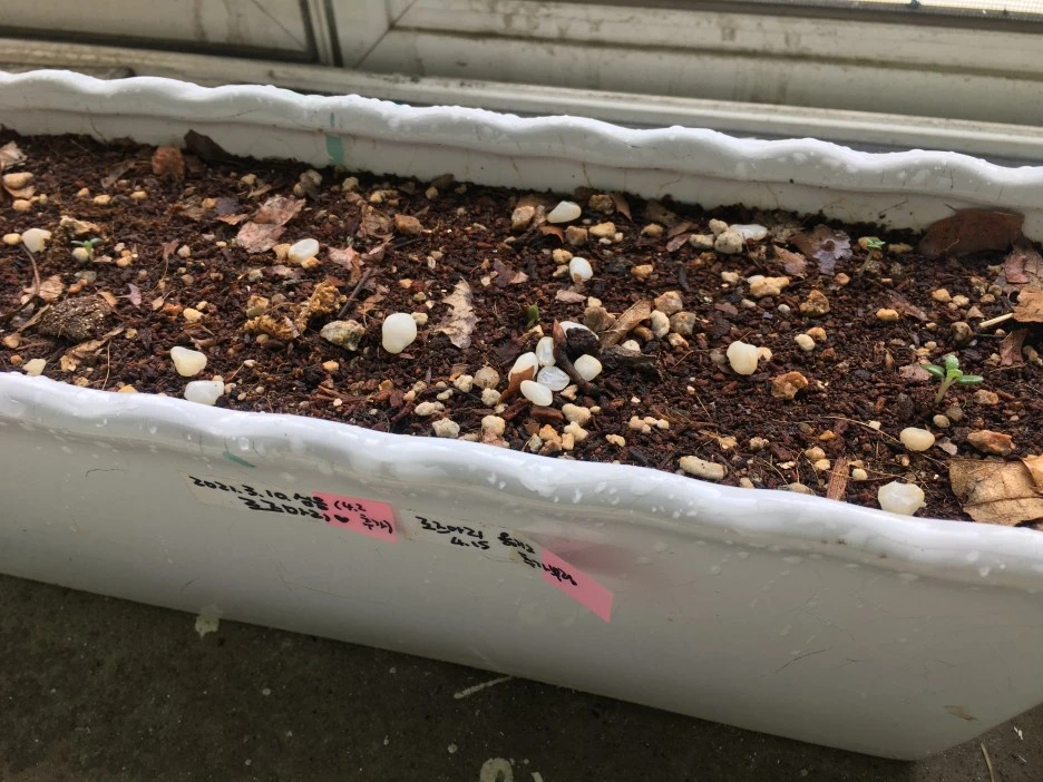 20210521_1748.JPG?type=w1