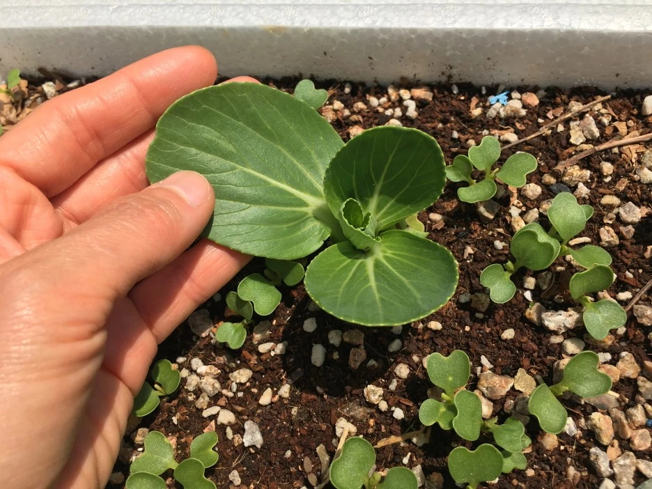 20210503_1266.JPG?type=w1