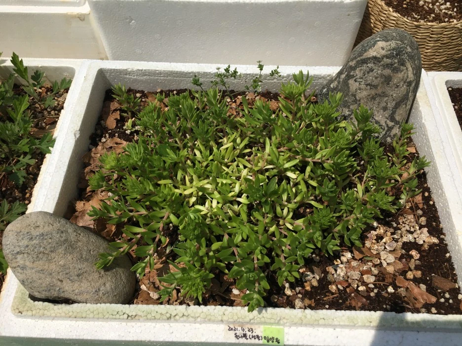 20210503_1257.JPG?type=w1