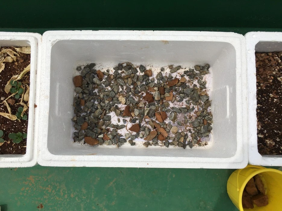 20210428_1136.JPG?type=w1