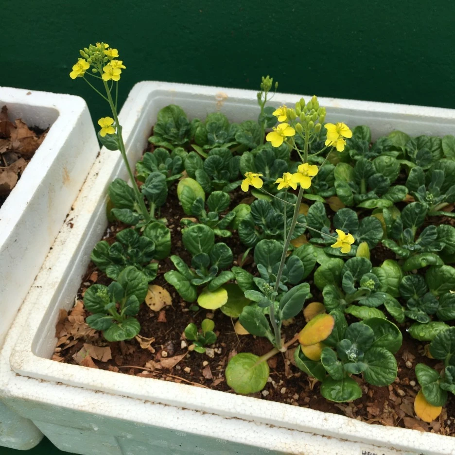 20210515_1556.JPG?type=w1