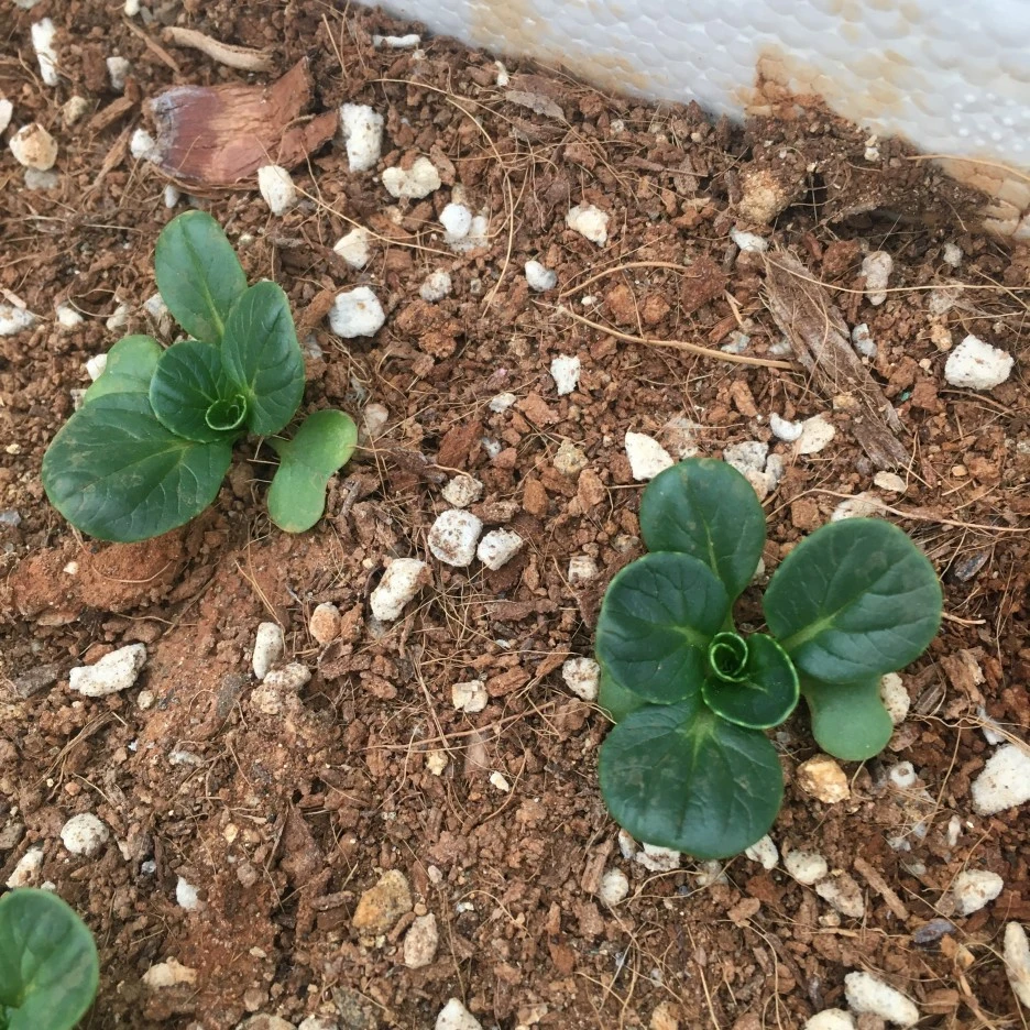 20210422_0944.JPG?type=w1