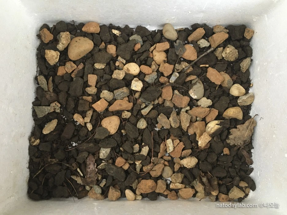 20210321--%EB%82%A0%EC%A7%9C-7.jpg?type=w1