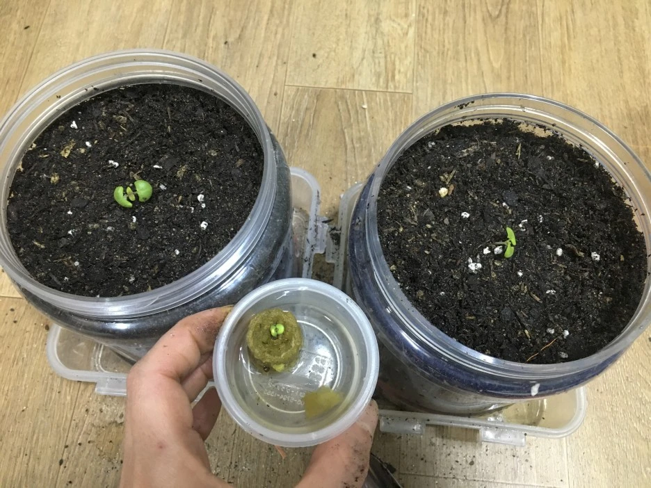 20210309_0117.jpg?type=w1