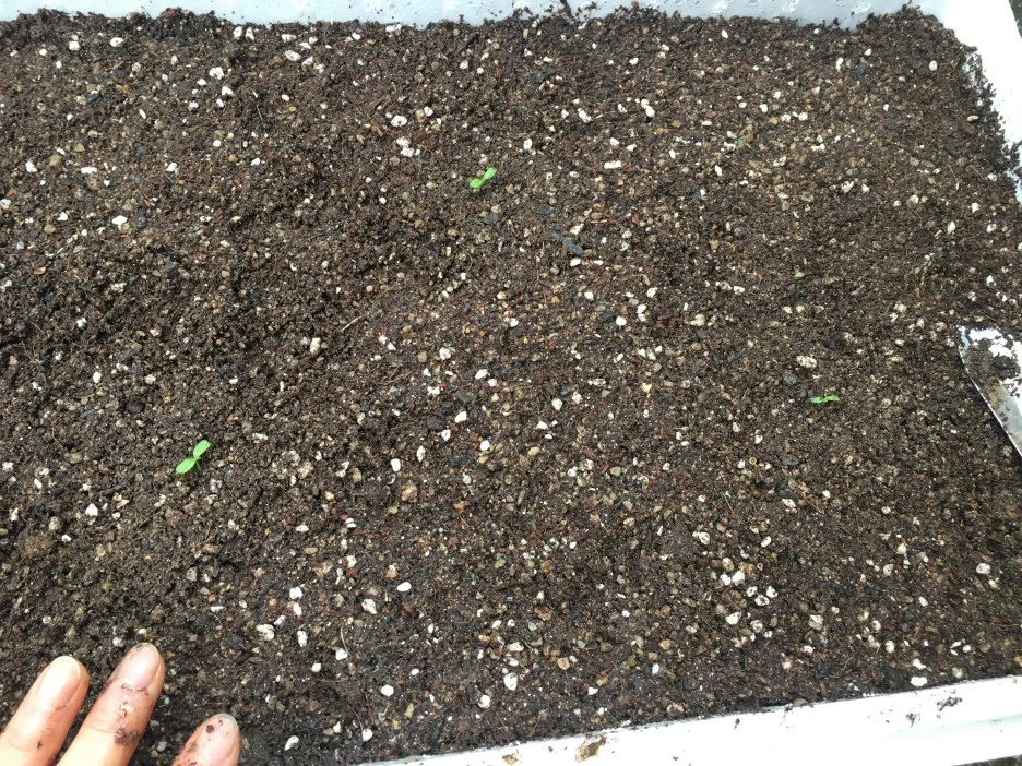 20210327_0355.JPG?type=w1