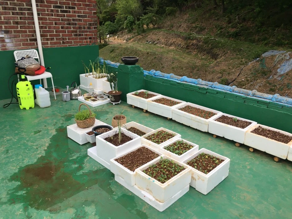 20210423_1002.JPG?type=w1