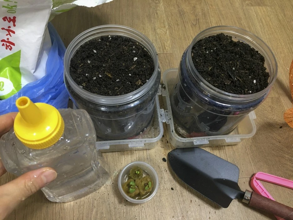 20210309_0111.jpg?type=w1