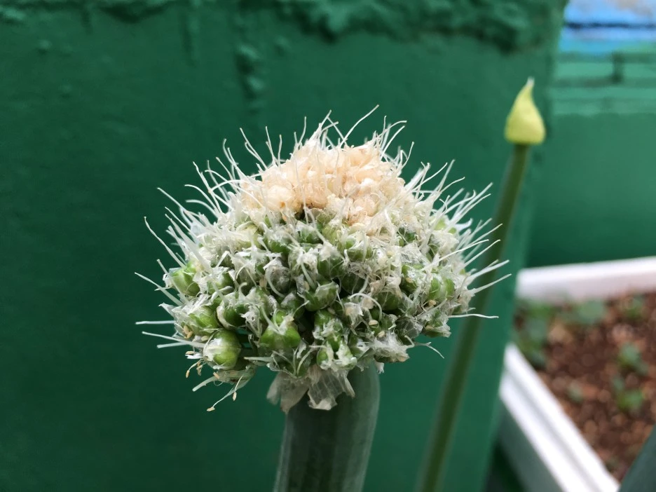 20210430_1211.JPG?type=w1