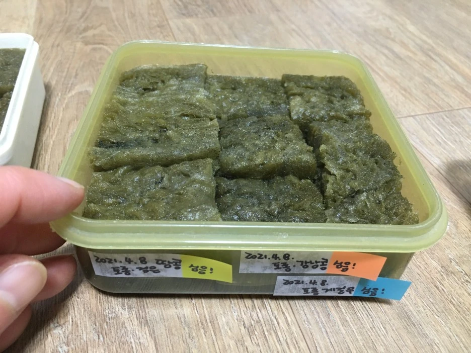 20210408_0686.JPG?type=w1