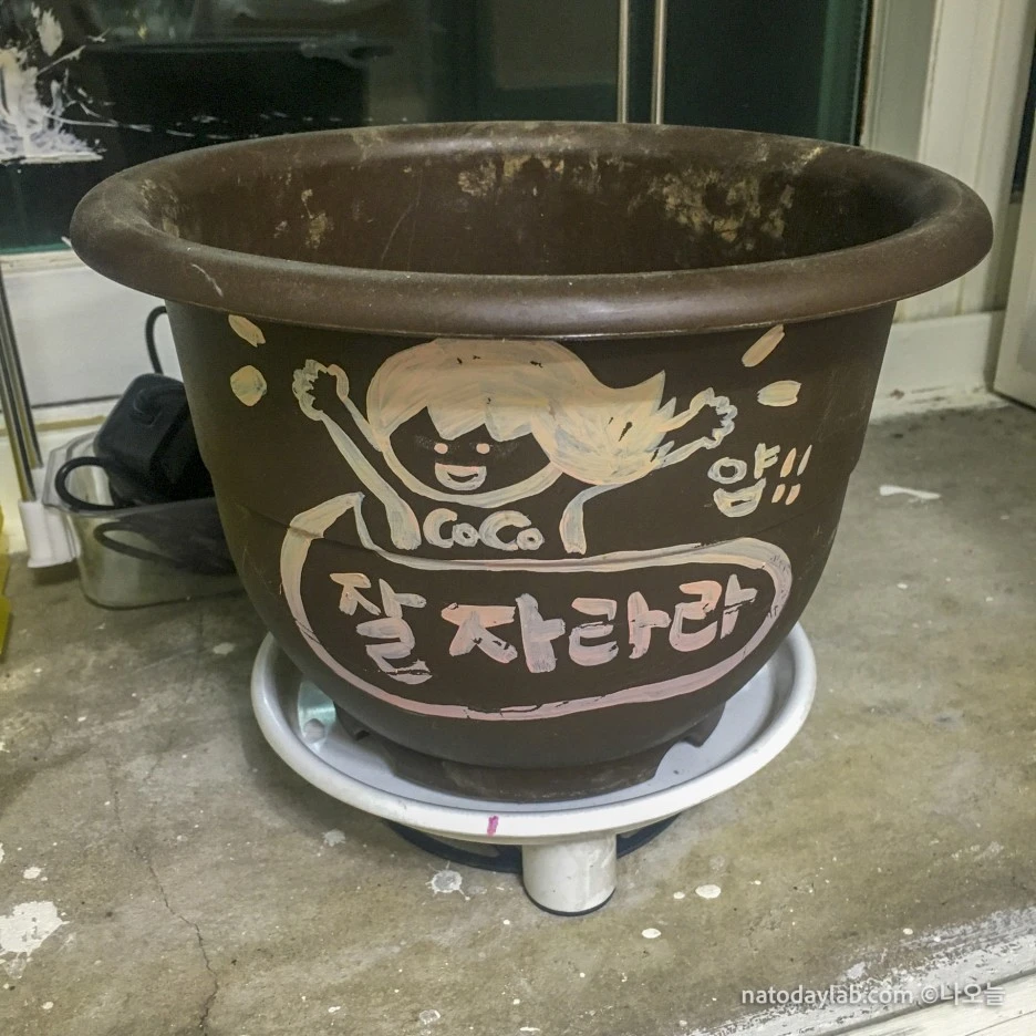 20210211--2.jpg?type=w1