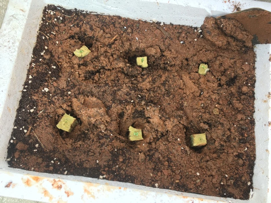 20210325_0325.JPG?type=w1