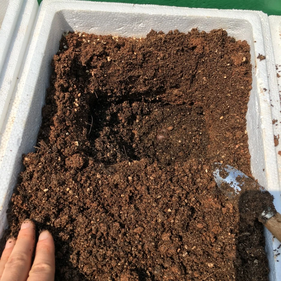 20210410_0710.JPG?type=w1