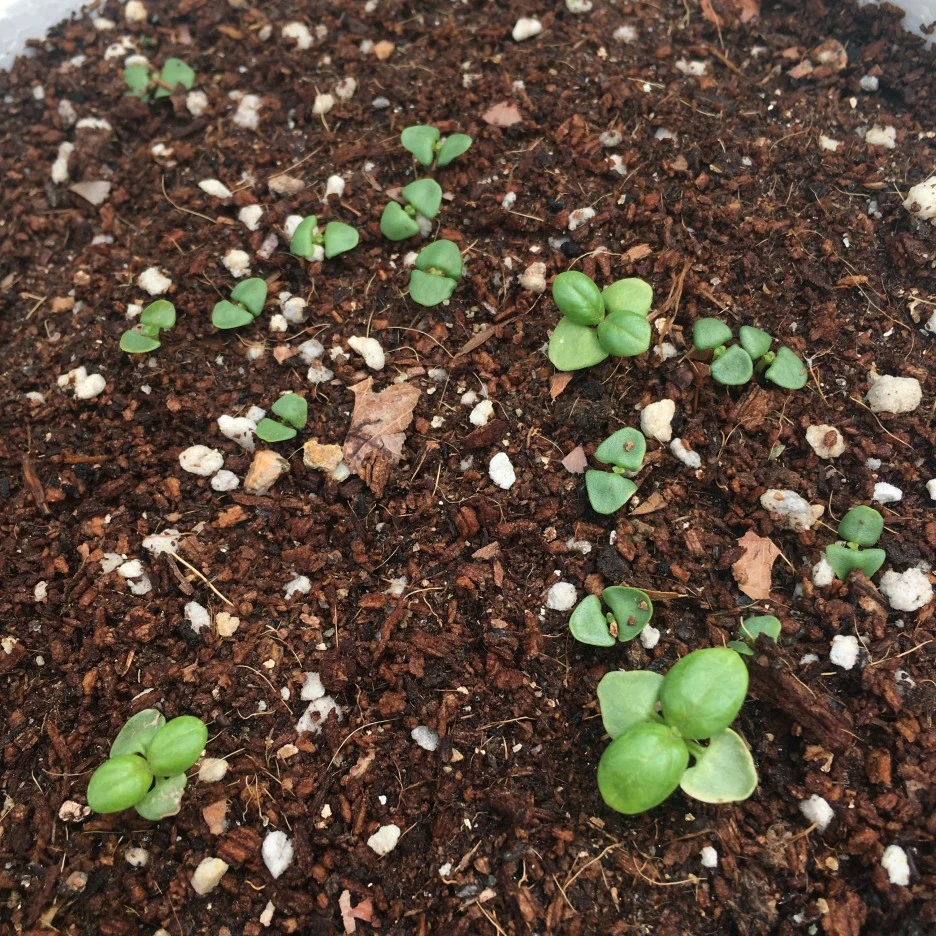 20210515_1568.JPG?type=w1