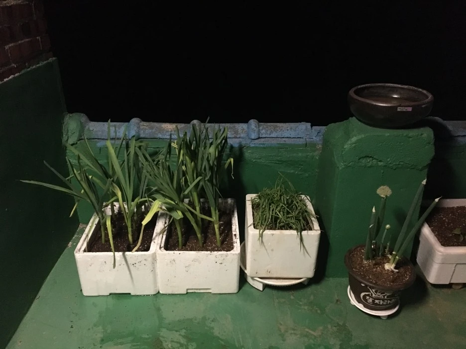 20210418_2855.JPG?type=w1