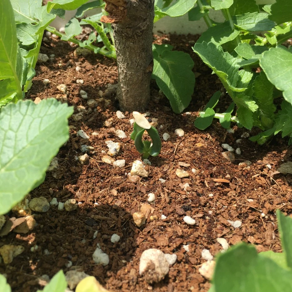 20210514_1500.JPG?type=w1