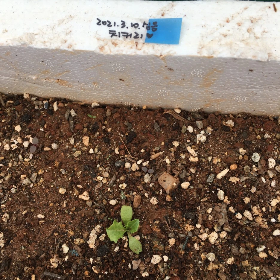 20210412_0975.JPG?type=w1