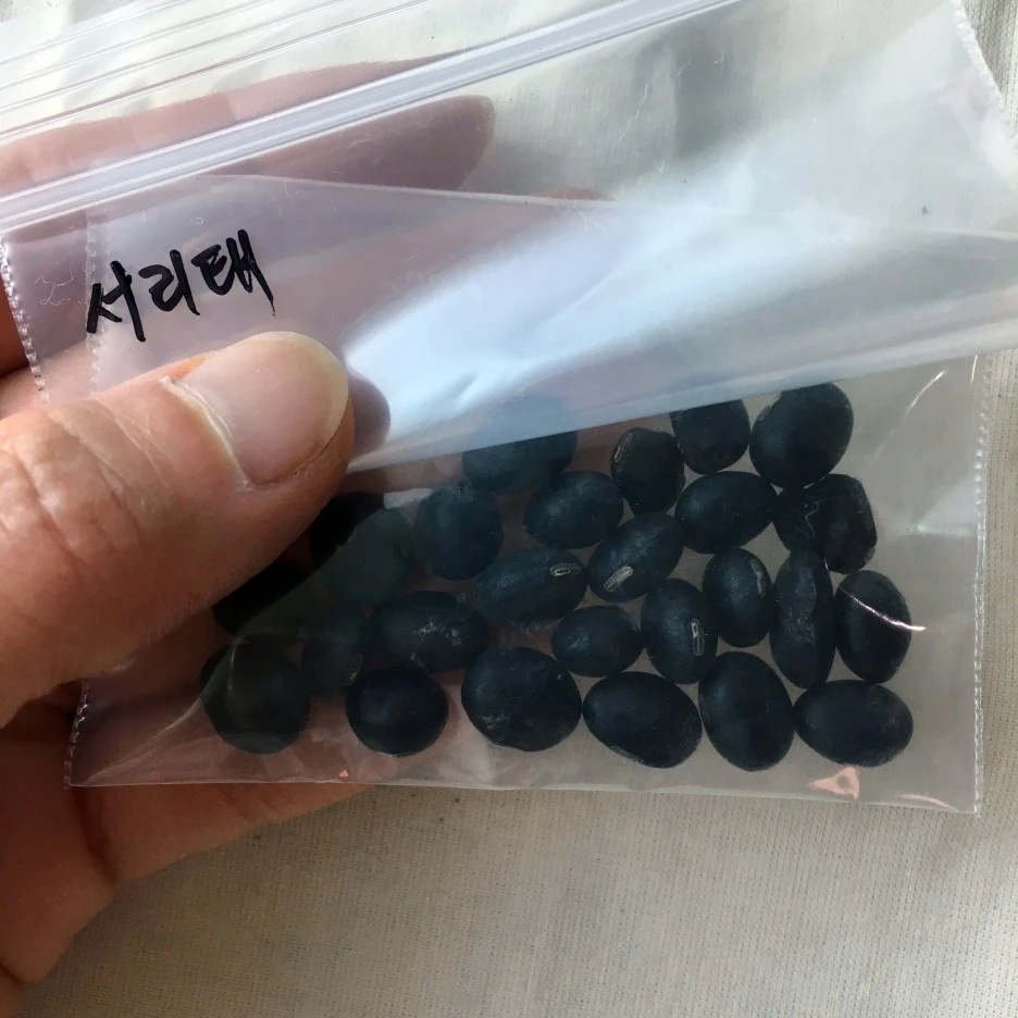 SE-ae0f1772-9bac-45db-84f3-f8c706317fe8.jpg?type=w1