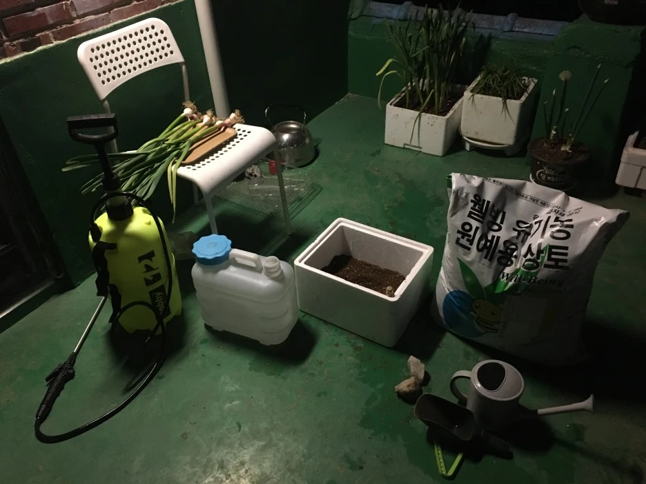 20210418_2852.JPG?type=w1