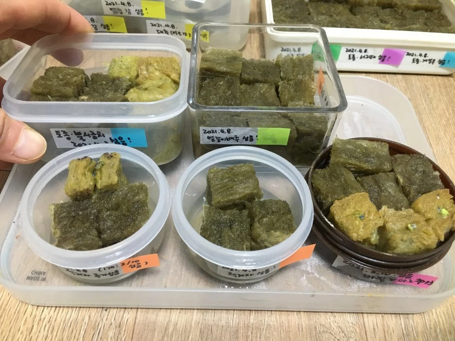 20210408_0684.JPG?type=w1