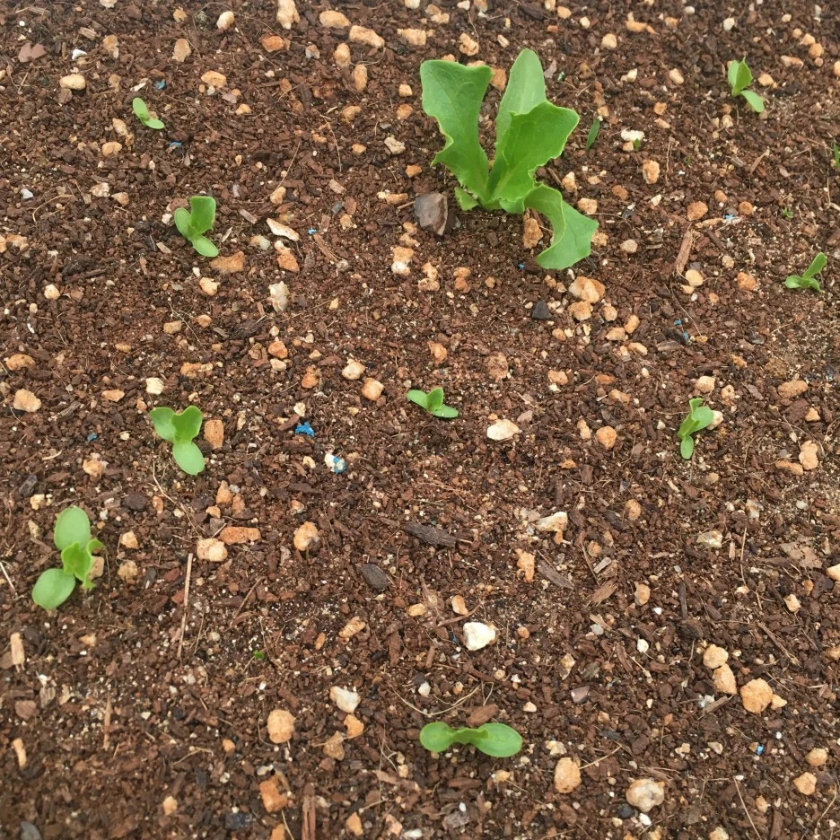 20210422_0946.JPG?type=w1