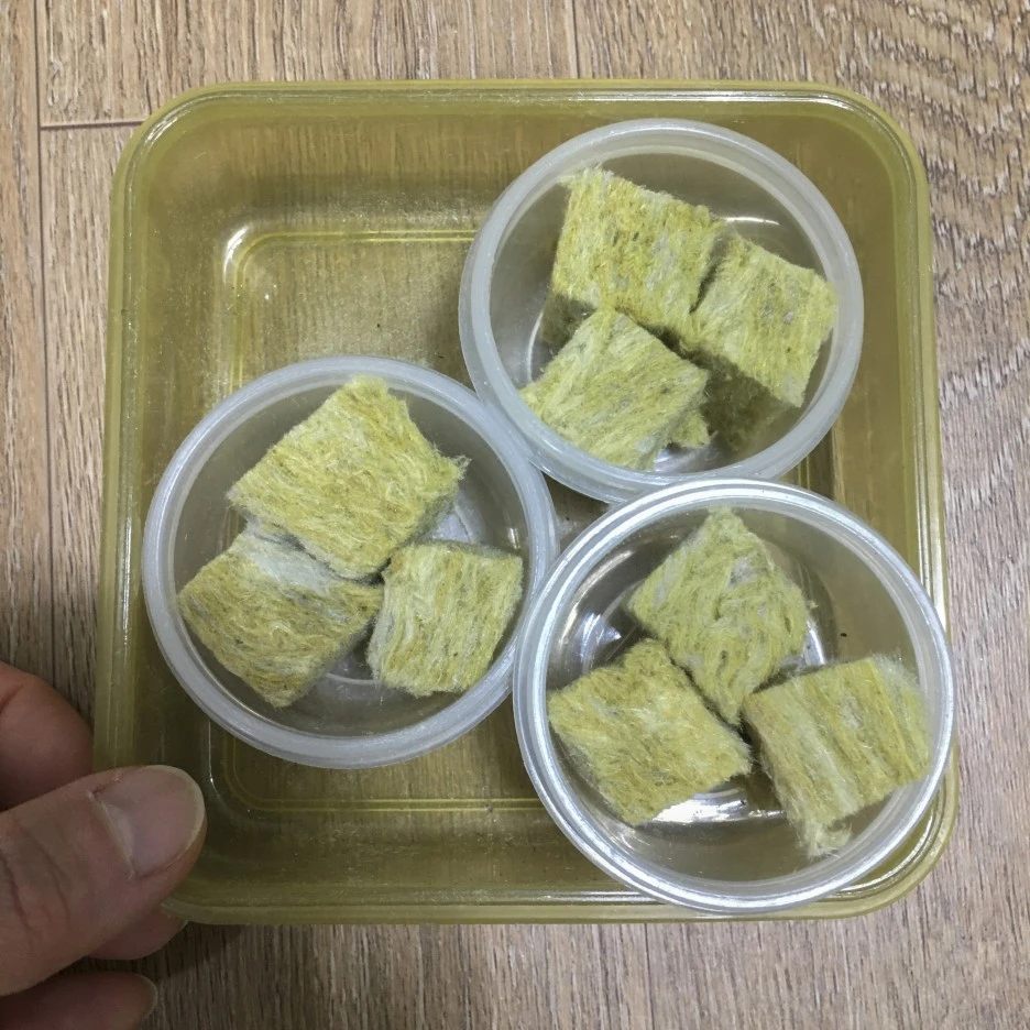 20210310_0130.jpg?type=w1