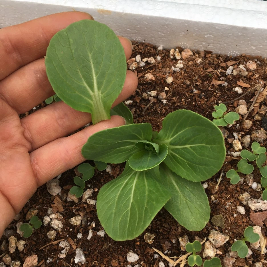 20210428_1157.JPG?type=w1