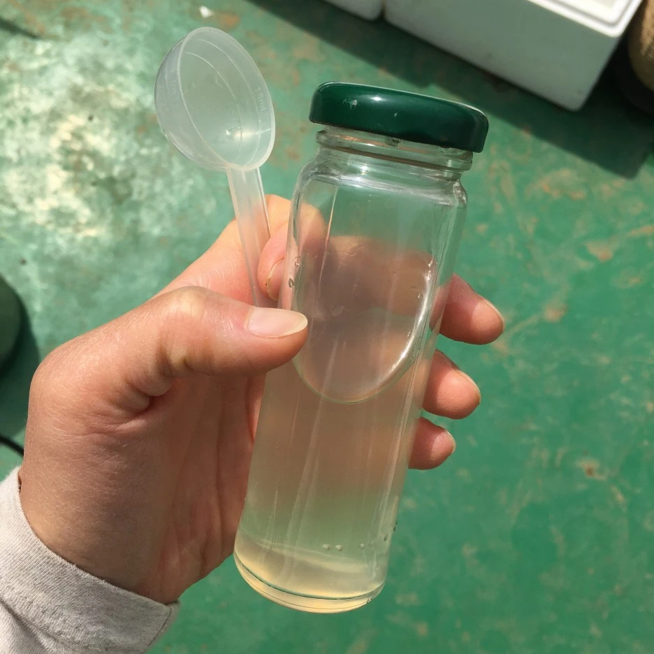 20210426_1074.JPG?type=w1