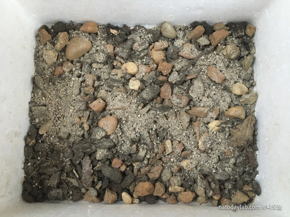 20210321--%EB%82%A0%EC%A7%9C-8.jpg?type=w1