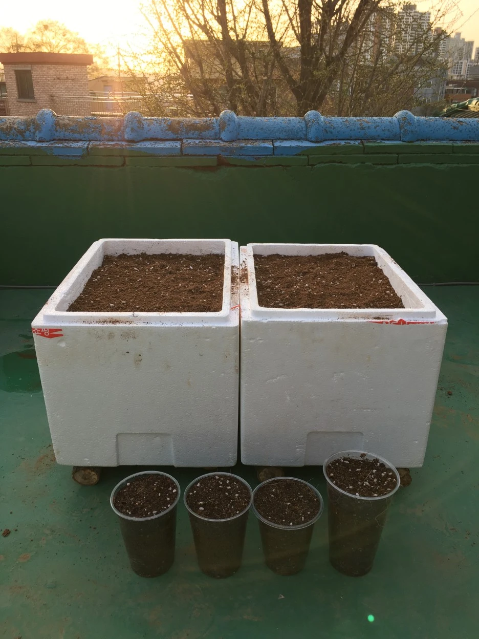 20210401_0487.JPG?type=w1