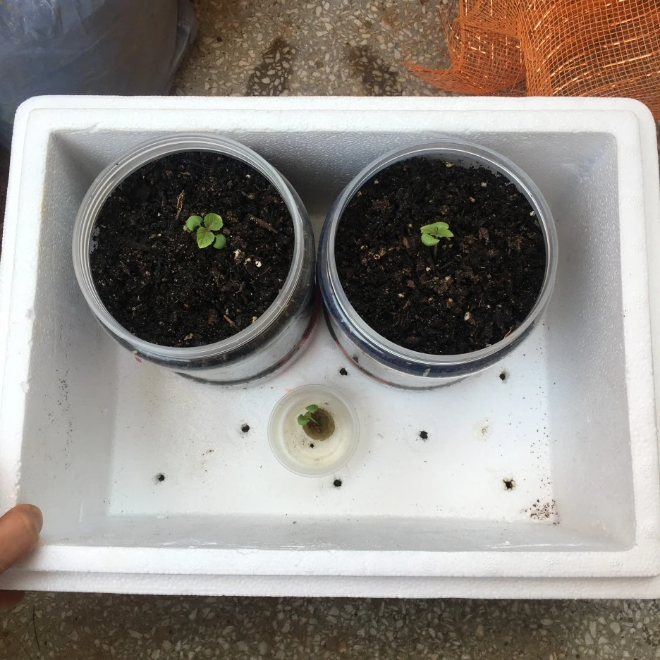 20210325_0303.JPG?type=w1