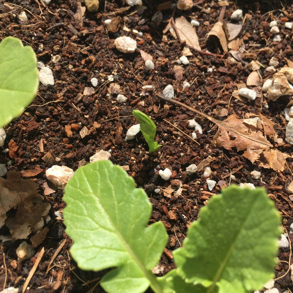 IMG_1004.JPG?type=w1