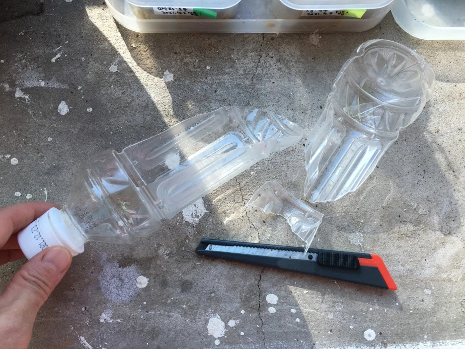 20210405_0548.JPG?type=w1