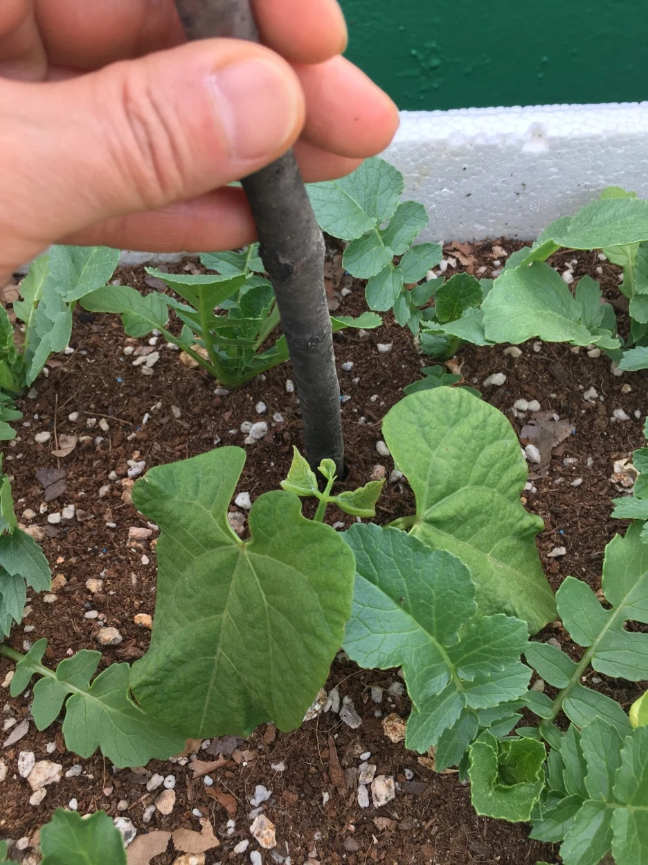 20210511_1400.JPG?type=w1